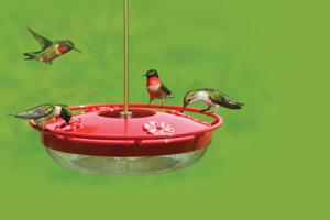 Wild Birds Unlimited High Perch Hummingbird Feeder